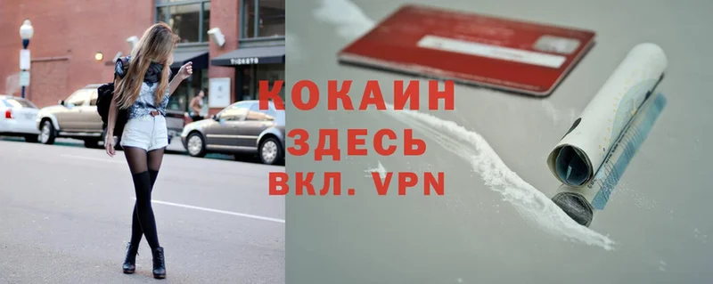 Cocaine 98%  mega ссылка  Венёв 